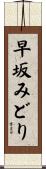 早坂みどり Scroll