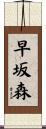 早坂森 Scroll