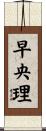 早央理 Scroll