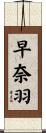 早奈羽 Scroll