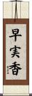 早実香 Scroll