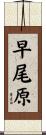 早尾原 Scroll