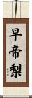 早帝梨 Scroll