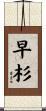 早杉 Scroll