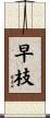 早枝 Scroll