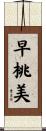 早桃美 Scroll