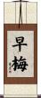 早梅 Scroll