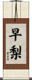 早梨 Scroll
