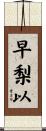 早梨以 Scroll