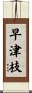 早津枝 Scroll