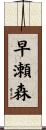 早瀬森 Scroll