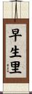 早生里 Scroll