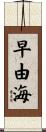 早由海 Scroll