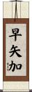 早矢加 Scroll