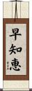 早知恵 Scroll