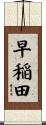 早稲田 Scroll