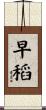 早稻 Scroll