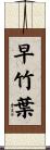 早竹葉 Scroll