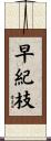 早紀枝 Scroll