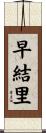 早結里 Scroll