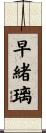 早緒璃 Scroll