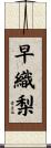 早織梨 Scroll