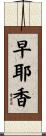 早耶香 Scroll