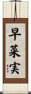 早菜実 Scroll