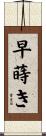 早蒔き Scroll