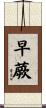 早蕨 Scroll