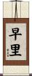 早里 Scroll