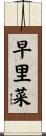 早里菜 Scroll