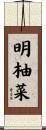 明柚菜 Scroll