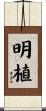 明植 Scroll