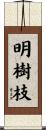 明樹枝 Scroll