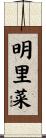 明里菜 Scroll