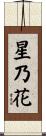 星乃花 Scroll