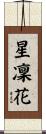 星凜花 Scroll