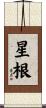 星根 Scroll