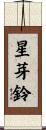 星芽鈴 Scroll