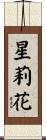 星莉花 Scroll