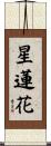 Star Lotus Scroll