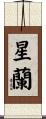 星蘭 Scroll
