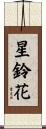 星鈴花 Scroll