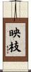 映枝 Scroll