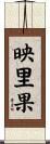 映里果 Scroll