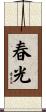 春光 Scroll