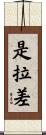 是拉差 Scroll