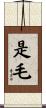 是毛 Scroll