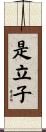 是立子 Scroll
